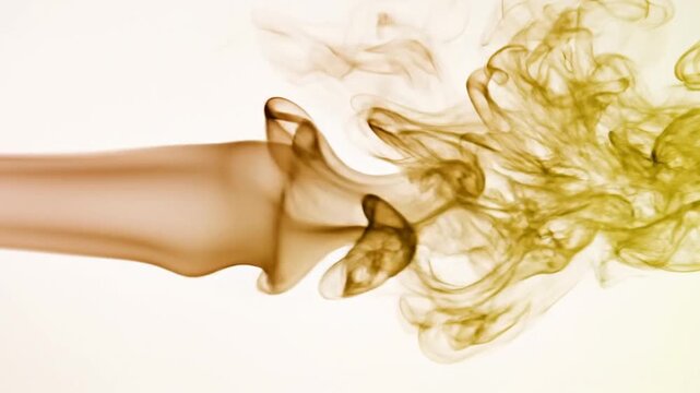 Close-up of a bright pink flower bud opening, revealing delicate petals and stamen in soft sunlight.