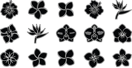 Collection of black and white tropical flower hibiscus plumeria orchid bird of paradise © Graphic Shops