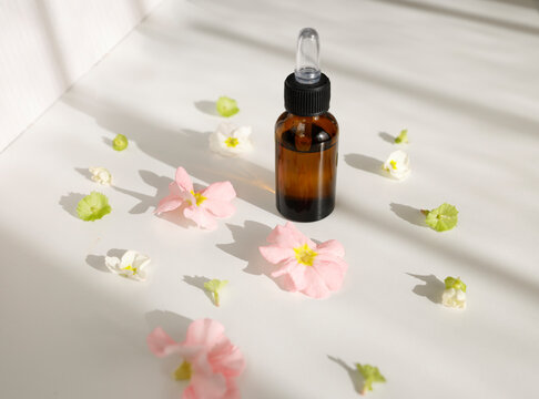 Glass dropper bottle with essential oil and pink primrose flowers.