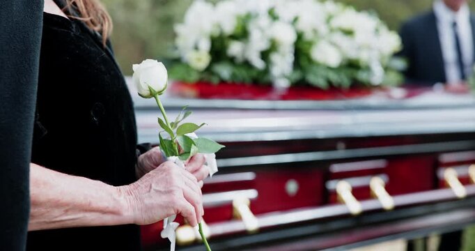 Flower, funeral and hands of woman by casket at graveyard for remembrance, mourning or grief at service. White rose, memorial and person at cemetery for burial ceremony for loss, sympathy or respect.