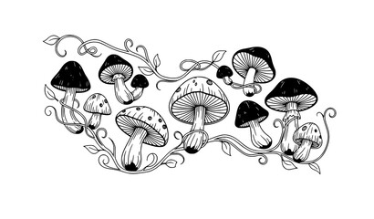 Forest mushroom vine silhouette natural botanical vector illustration © Hazara