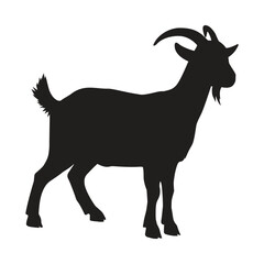 Fototapeta premium Goat Standing Silhouette with Horns and Goatee for Agricultural Livestock Branding, Farm Animal Graphics, Rural Countryside