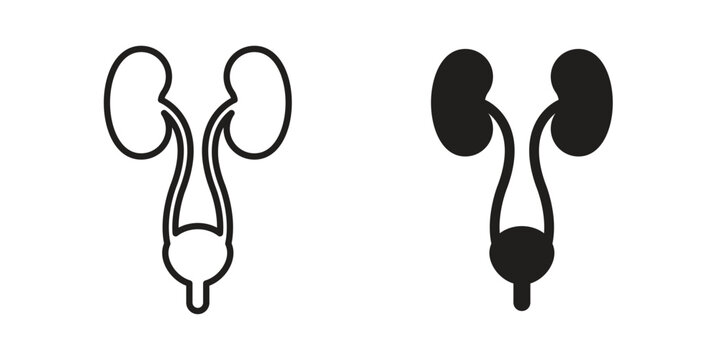 Urology icon with black color and editable vector