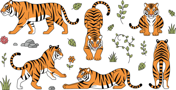 Modern flat vector tiger collection featuring wild cats in walking stretching and sitting poses with jungle leaves tropical plants and forest elements.