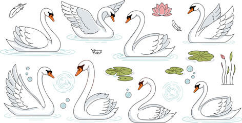 Graceful white swan vector set in clean line art style featuring birds swimming in pond with lotus flowers lily pads and feathers for elegant nature designs.