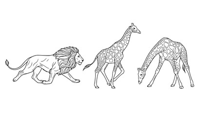 African safari animal outline vector collection with running lion and grazing giraffes minimalist wildlife line art © Joyantaroy