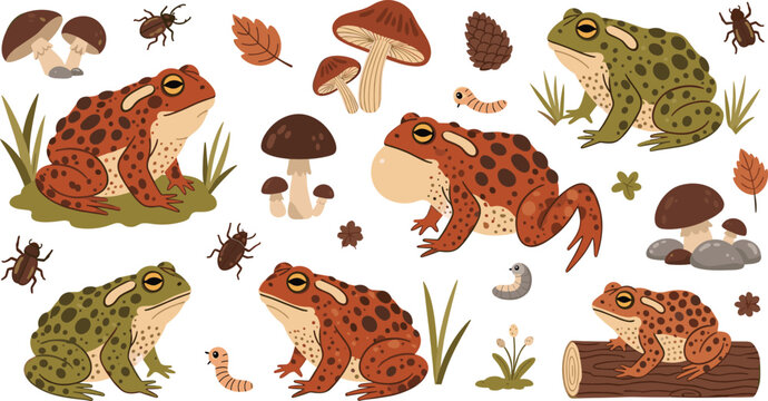 Spotted forest toad vector illustration set featuring red and green frogs with wild mushrooms beetles worms and autumn leaves for nature and wildlife designs.