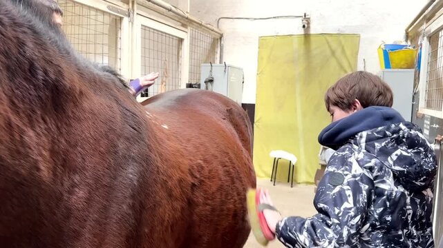A young boy cleaning and grooming a horse inside a stable.