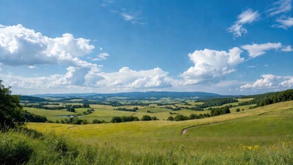 Fototapeta premium Vast green fields stretch under a bright blue sky