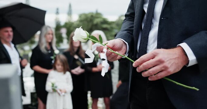 Flower, memorial and hands of man by graveyard for remembrance, mourning or grief at service. White rose, funeral and male person at cemetery for burial ceremony for loss, sympathy or respect.