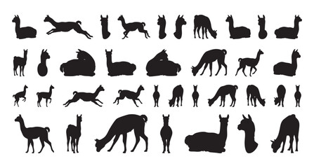 Fototapeta premium Alpaca figures playful. Adorable alpaca outlines for children. Joyful silhouettes of alpacas for kidfriendly designs. Friendly black alpaca shapes perfect for nursery art and stickers