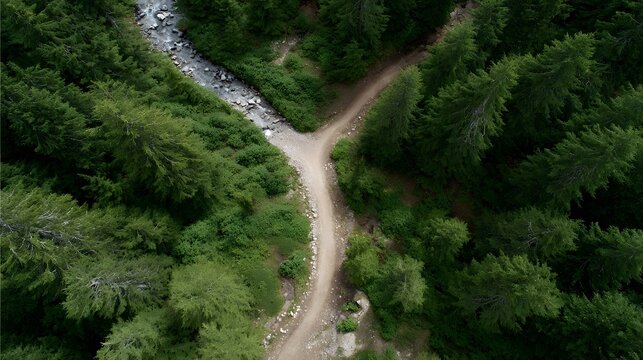 High angle aerial view captures a split in a dirt path meandering through a lush vibrant green forest beside a clear rocky mountain stream