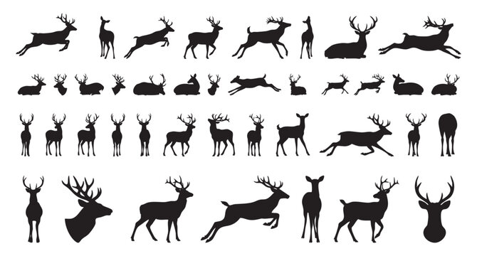 black deer silhouettes on white plane, poses suggestive of night movement and alert behavior with ears pricked and heads turned, high contrast graphic ideal for editorial, signage and conservation