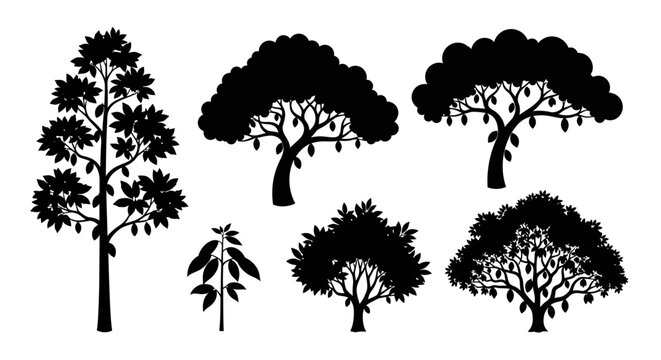 Cocoa Tree Silhouettes: Tropical Plant Variety with Cacao Pods