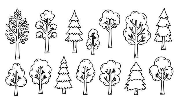 Hand drawn doodle nature trees forest plant tree outline landscape icon vector set