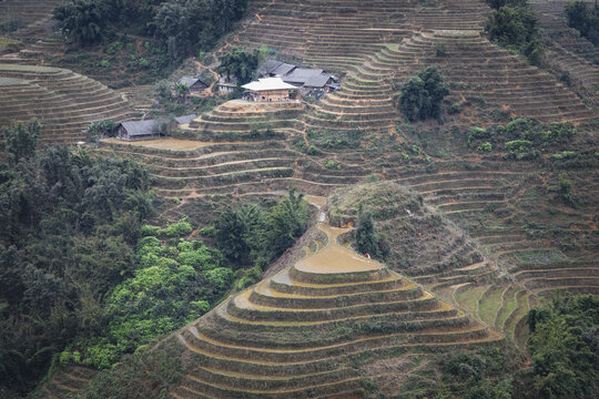 rice fields in the mountains
