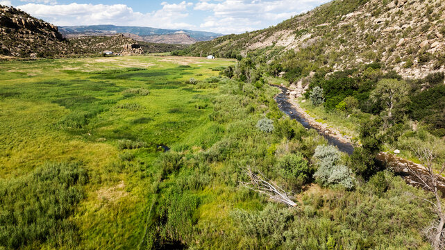 Aerial shot over a lush meadow in the semi-arid Rocky Mountains