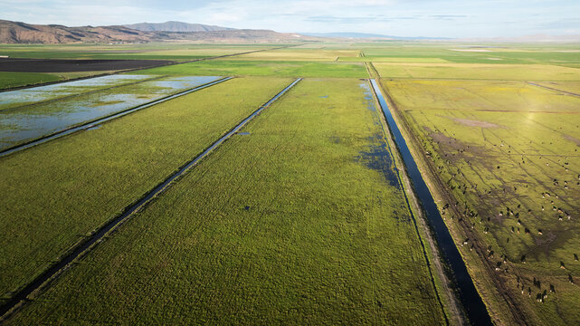 Aerial shot of flood irrigation fields and pasture in the West.