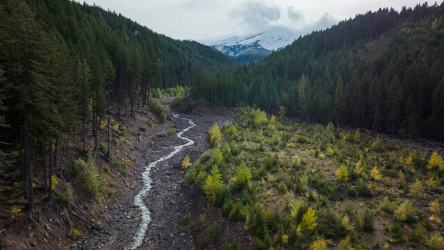 A small stream runs through a forest below large mountain.