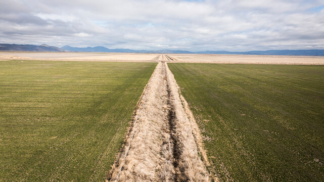 Aerial view over irrigated crop fields in American West.