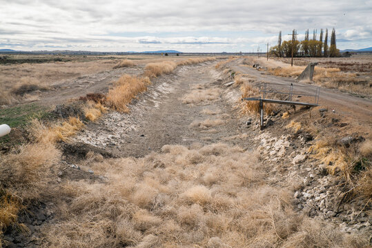 A dry irrigation canal with tumbleweed in American West