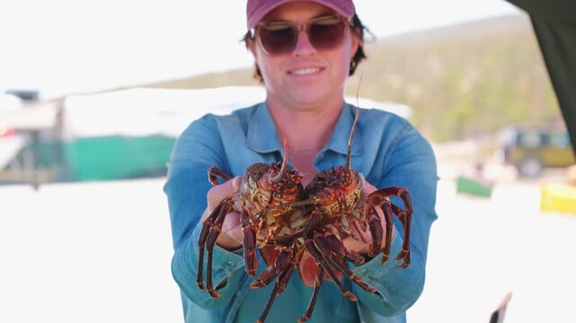 Woman holds out and displays two live Cape Rock Lobsters on Cape West Coast