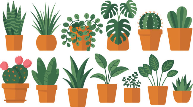Various potted houseplants and succulents set. exotic indoor decorative plants in pots on white background