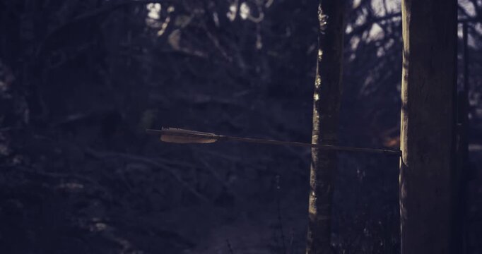 Fletched arrows are embedded in wooden targets amidst a dense forest. The surroundings are serene, showcasing natural beauty and focus on archery practice in the afternoon light.