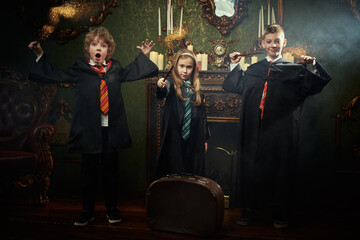 Fototapeta premium Journey Wizard Quest