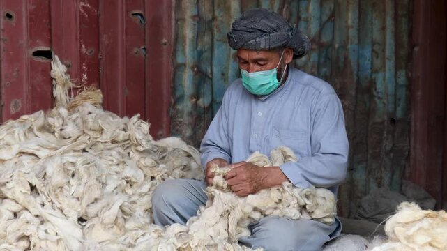 A man is cleaning, carding preparing cotton threads for carpet and rug creation in Kabul, Afghanistan