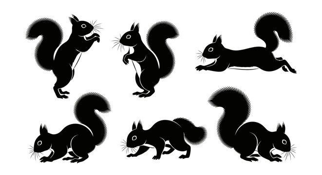Set of Black Squirrel Silhouettes in Various Poses on White Background