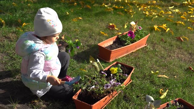 A young girl plant geranium flowers in a balcony box outdoors. Young girl planting colorful flowers in garden pots, learning about growth and nature