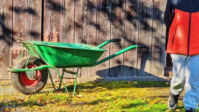 Small child engaged in outdoor autumn activity, holding a rake near a green wheelbarrow Autumn chores raking leaves
