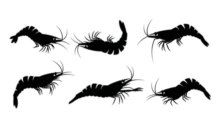 Obraz premium Set of Black Shrimp Silhouettes on White Background, Marine Life Vector Graphics