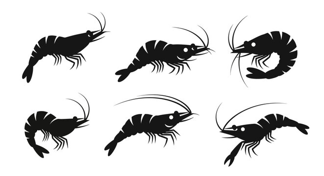 Set of black shrimp silhouettes on a white background, isolated vector illustrations