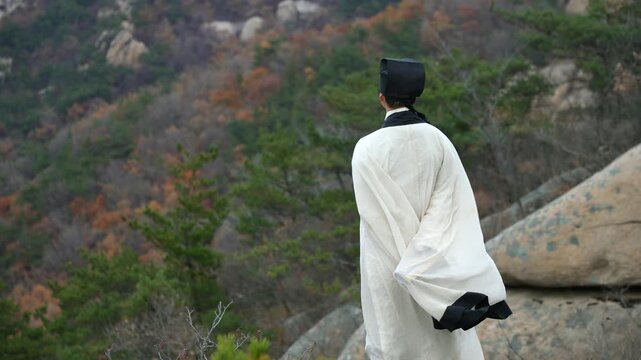 In the autumn mountains, a Chinese ancient man wearing Hanfu stands on the edge of a cliff and looks into the distance. The autumn wind blows his clothes, showcasing Chinese culture
