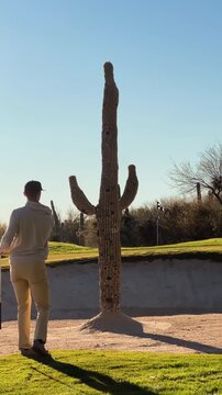 Golfer hits flop shot over large saguaro cactus in a bunker on Arizona desert golf course, vertical 4k golfing