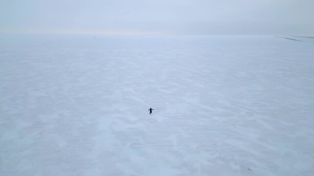 Person in winter parka dances in circle on vast sea ice, copy space