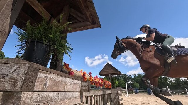 A horse jumping a decorative obstacle in an outdoor horse arena on a summer day. Filmed in Slow motion.