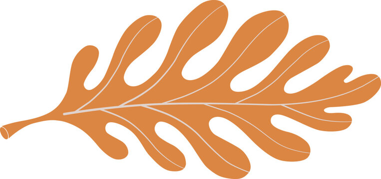 A vibrant orange oak leaf with distinctive lobes and a slender stem against a clean white background  victor illustration