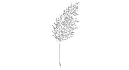 Fototapeta premium Feather delicate line drawing with airy barbs and thin stem, minimal monochrome sketch featuring plume,