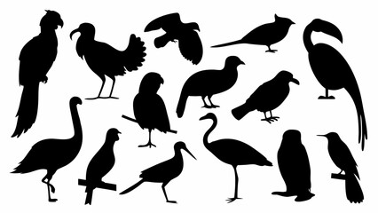 Obraz premium Collection of black bird silhouettes various species on white background icons