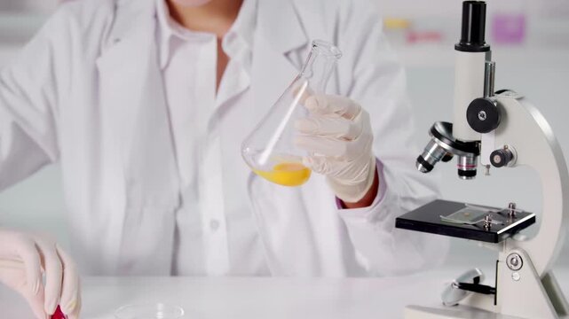 Microbiologists, nutrition specialists and medicine drips eggs white sample into petri dish using a dropper for development of gmo product in biochemical lab experiment at biotech laboratory setting