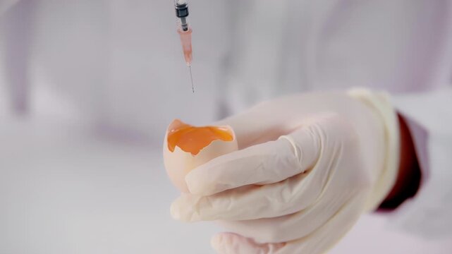 Biotechnology medical research scientists observation drips liquid into eggs using a injection needle for development of gmo products in biochemical lab experiment, transparent raw egg food