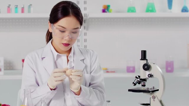 Research scientist agronomist studies carefully examining chicken egg watch and consider eggs in hand during working in laboratory, for development of gmo products in biochemical