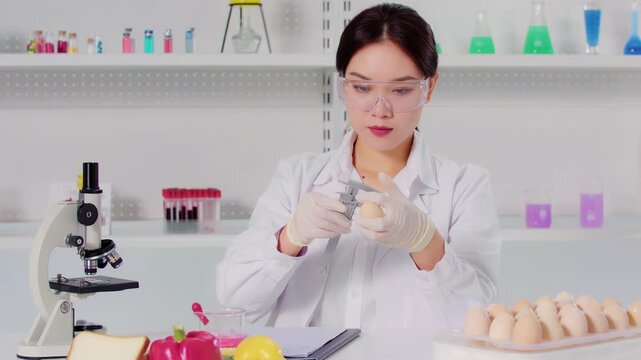 Biologists, nutrition specialists measuring egg size before conducting genetic scientific experiments on eggs, examines sample under microscope in laboratory setting during a science experiment