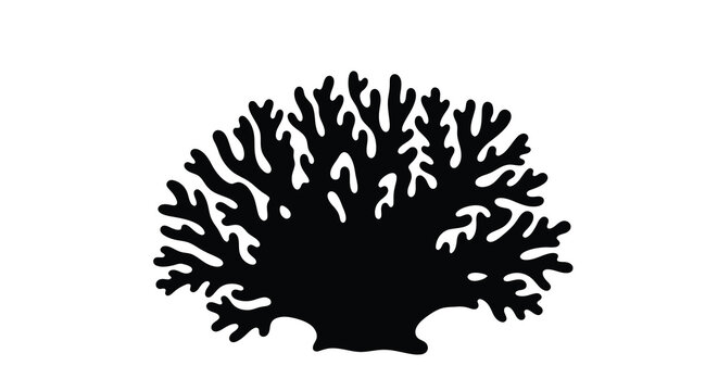 Detailed black coral formation depicted in a striking silhouette