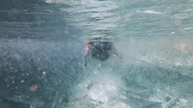 A snorkeler swimming through a large concentration of jellyfish like sea creatures (Salps) on the Great Barrier Reef Queensland Australia. Marine science