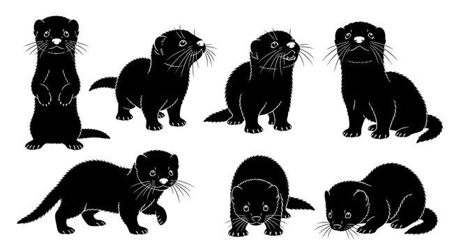 Set of Black Silhouettes of Ferrets in Various Poses Isolated on White Background