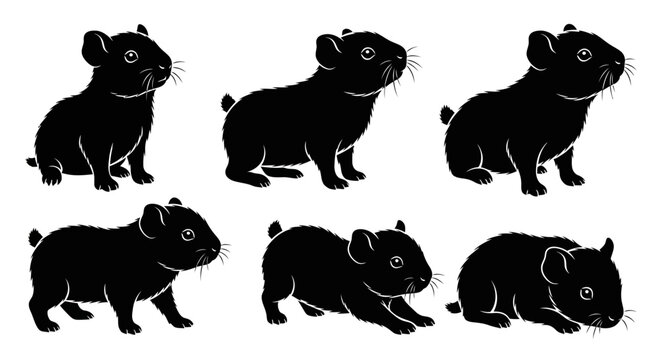 Set of black silhouettes of hamsters in different poses on a white background